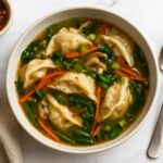 Potsticker Soup Recipe
