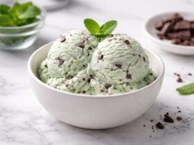 Mint Chocolate Chip Ice Cream