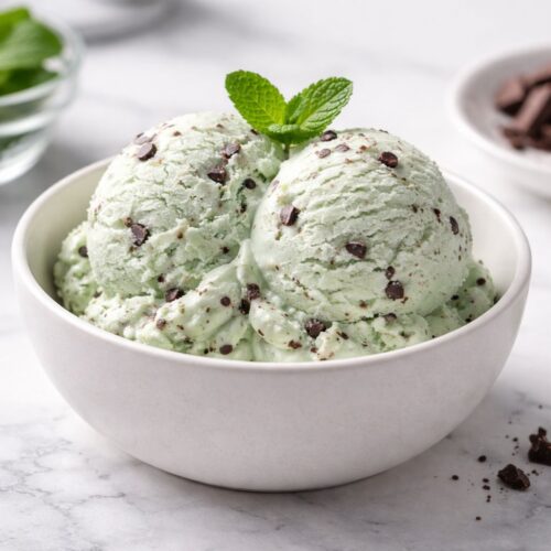 Mint Chocolate Chip Ice Cream